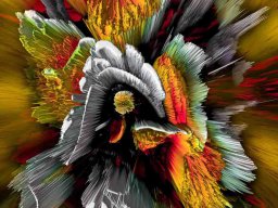 digital-arts--199