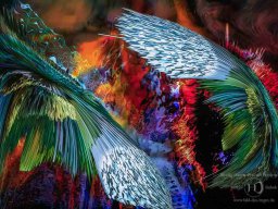 digital-arts--34