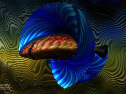 digital-arts--61